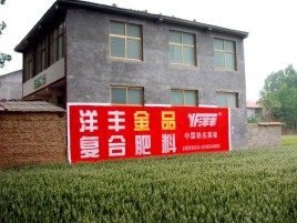蒲城如何让墙体广告展现最大化效果