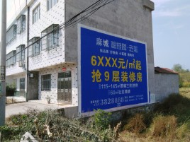 蒲城墙体广告质量分析