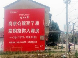 蒲城墙体广告在乡镇、农村市场的媒体优势
