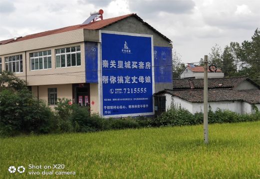 蒲城决定墙体广告价格的因素有哪些?