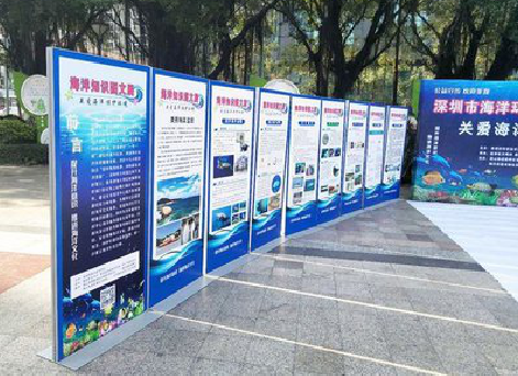 蒲城KT板的种类和知识。